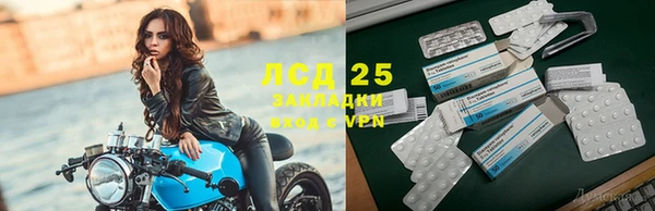 дмт Алексин