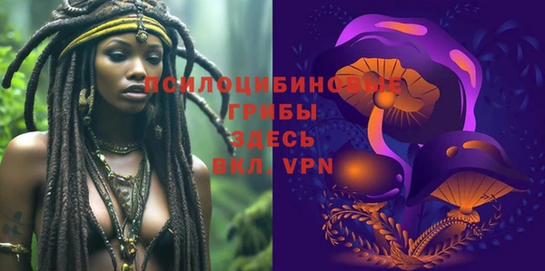 круглые Алексеевка